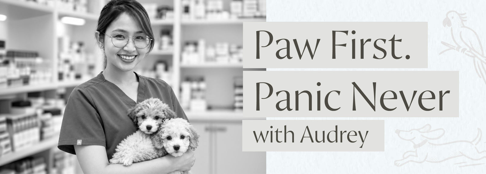 PAWS FIRST. PANIC NEVER with Audrey